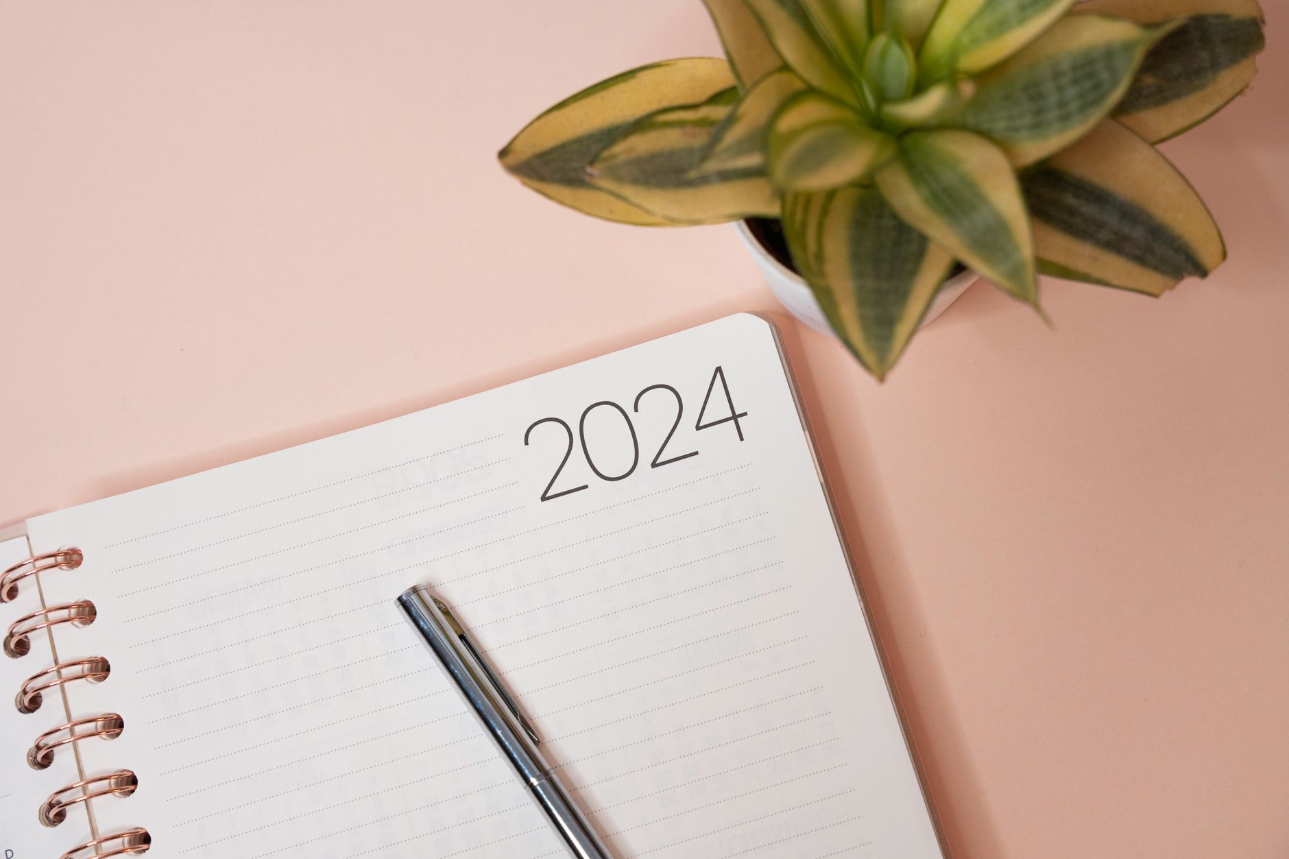 Quelles sont les nouvelles aides disponibles pour la rénovation énergétique en 2024 ?