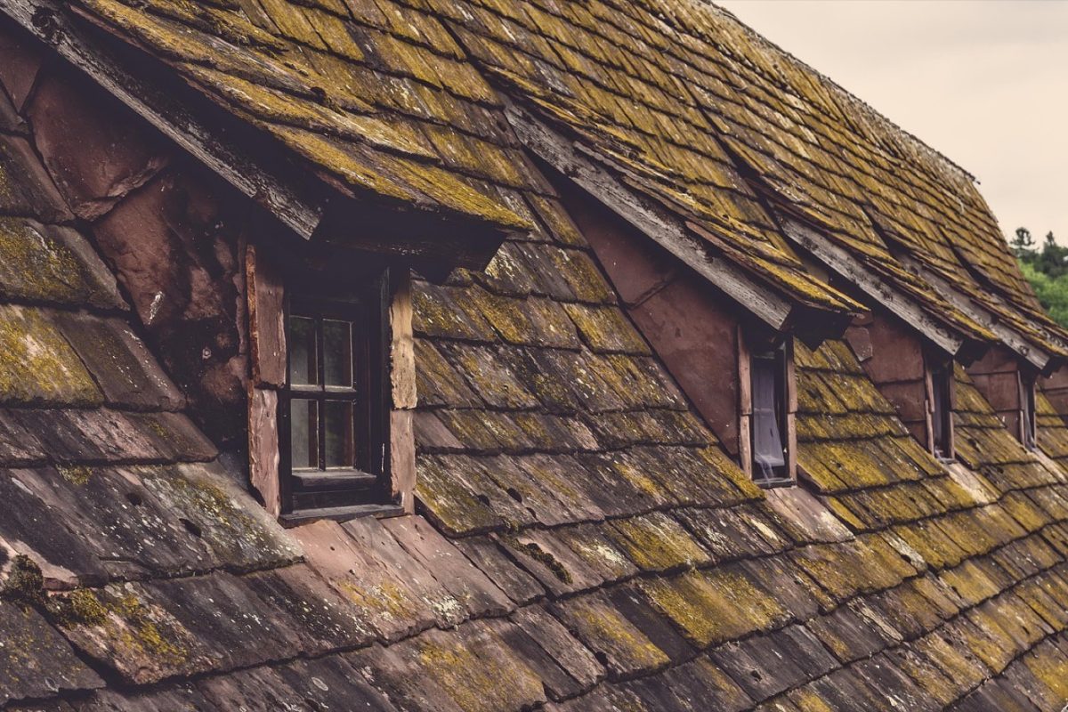 Comparatif VELUX vs FAKRO : fenêtres de toit écologie et usage