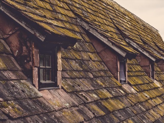Comparatif VELUX vs FAKRO : fenêtres de toit écologie et usage