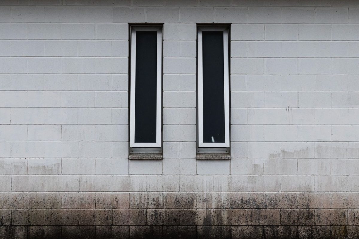 Meilleurs isolants pour murs humides : guide comparatif