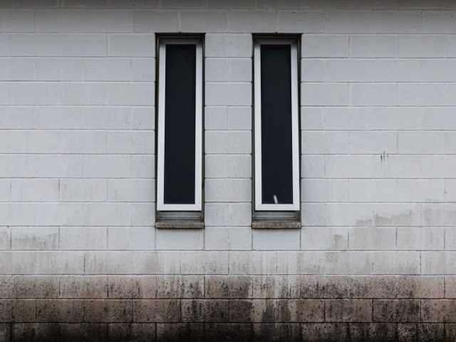Meilleurs isolants pour murs humides : guide comparatif