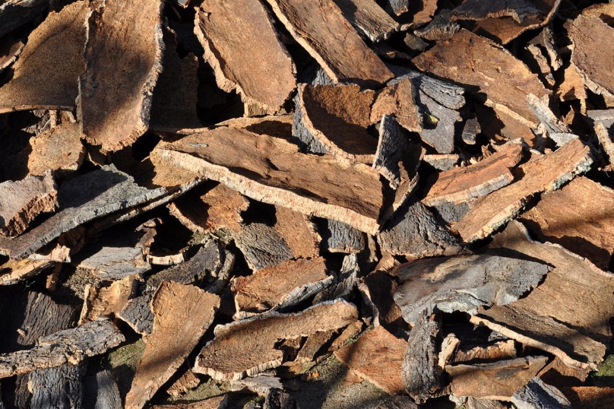 Meilleurs isolants naturels pour maison écologique