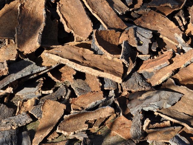 Meilleurs isolants naturels pour maison écologique