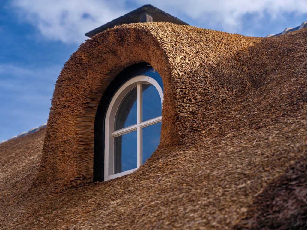 Comparatif Velux vs Fakro pour choisir une fenêtre de toit