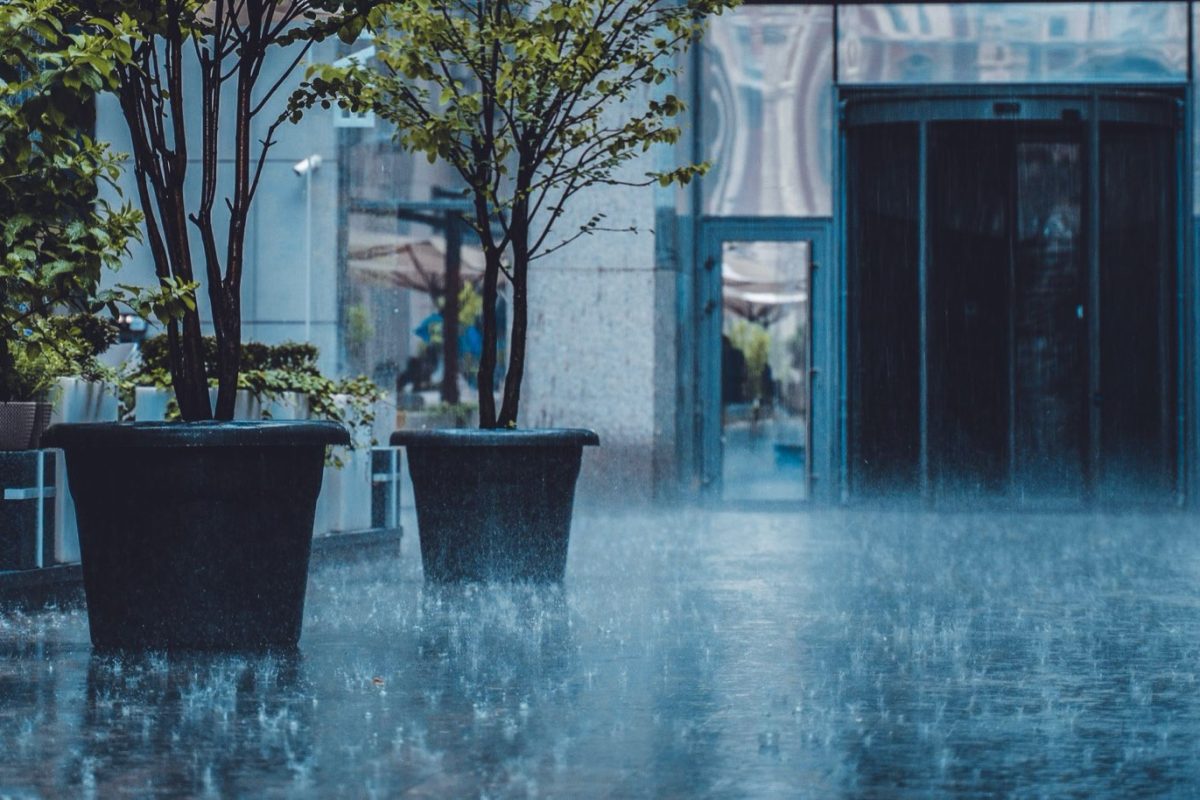 Récupération d'eau de pluie sur balcon : installation simple